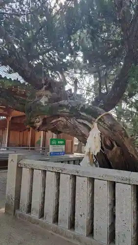 高砂神社(兵庫県)