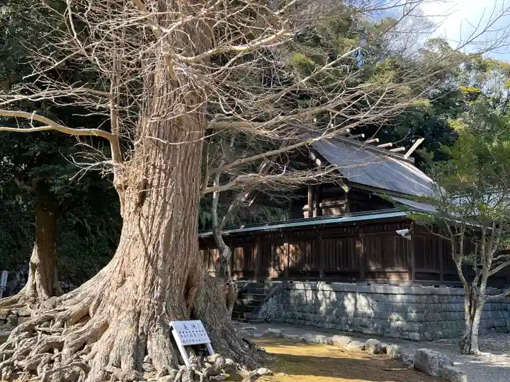 安房神社(千葉県)