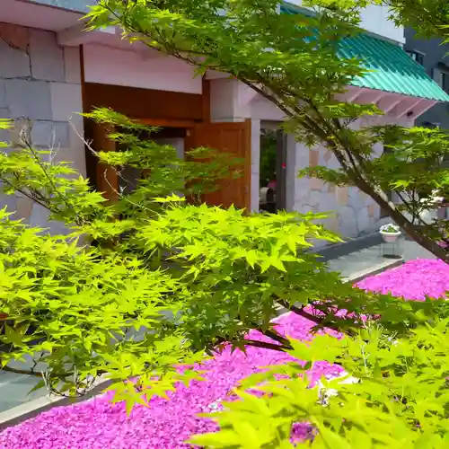 寿量山　速成寺(奈良県)