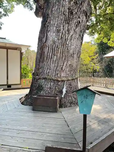 平野神社(京都府)