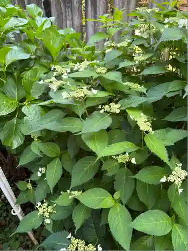 龍宮（江島神社）(神奈川県)