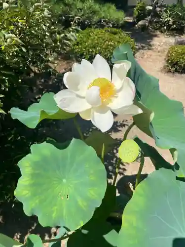 大仙寺(岐阜県)