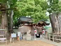 春日神社の本殿・本堂
