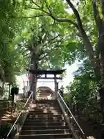 下総国三山 二宮神社の鳥居