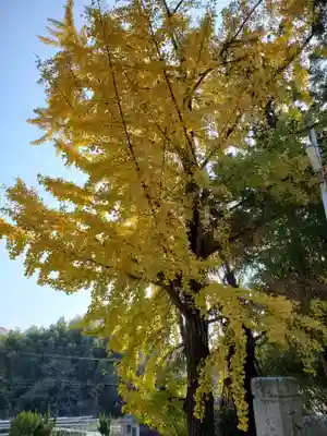 東八幡宮の自然