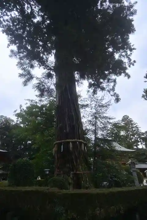 香取神宮(千葉県)
