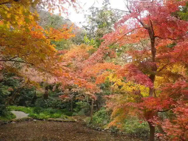 鶴岡八幡宮の自然