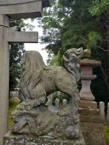 清水八幡神社の狛犬