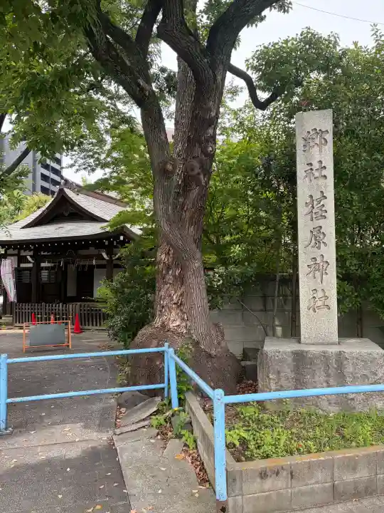 荏原神社(東京都)