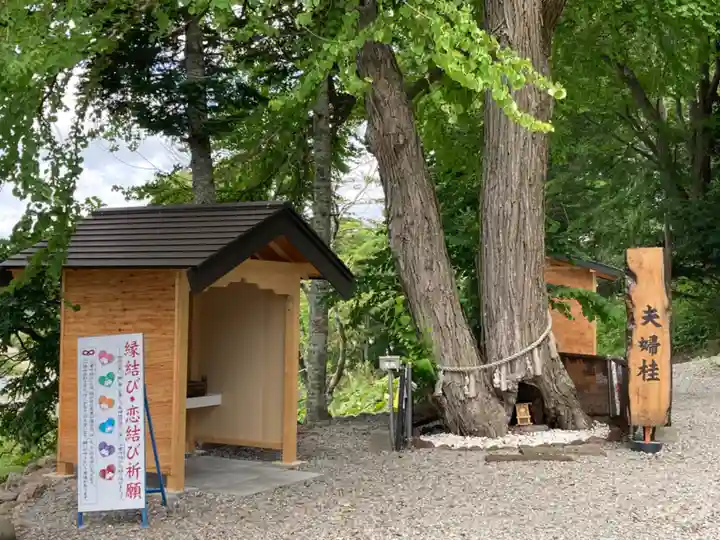 浦幌神社・乳神神社の自然