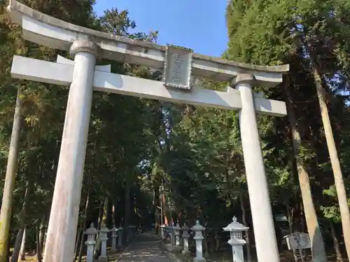 苗村神社の鳥居