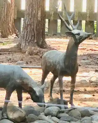福井神社(福井県)