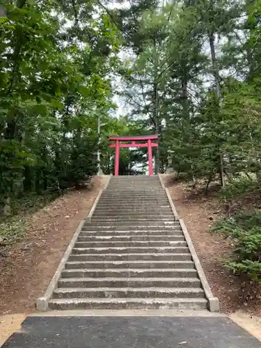 倶知安神社の鳥居