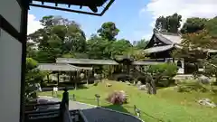 高台寺（高台寿聖禅寺・高臺寺）(京都府)