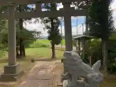 稲荷神社の狛犬