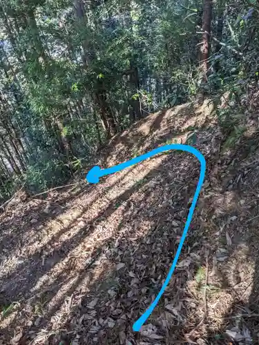 琴平神社(埼玉県)
