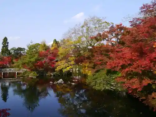 禅林寺（永観堂）の庭園