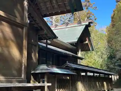 天津神明宮(千葉県)