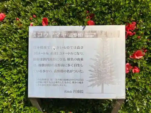 円乗院(東京都)