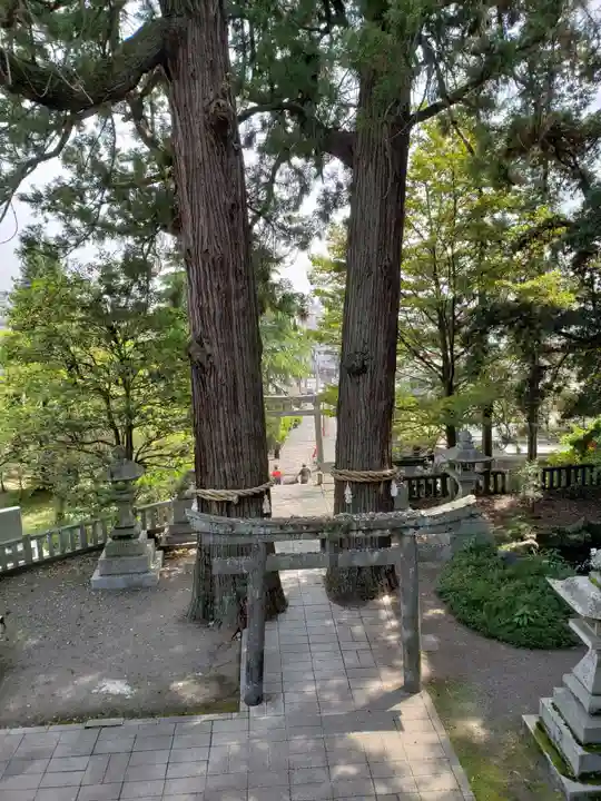 八幡朝見神社の自然
