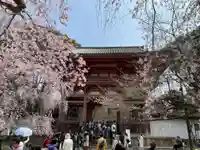 醍醐寺(京都府)