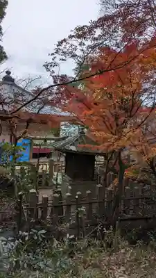 宝積寺(京都府)