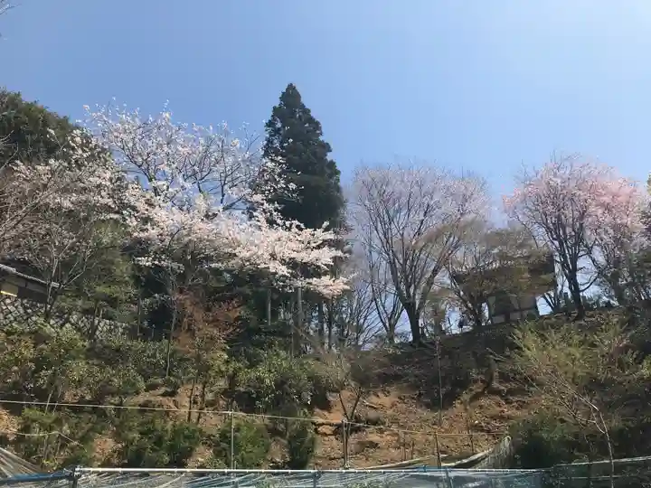正法寺(滋賀県)