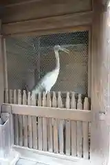 白鳥神社(香川県)