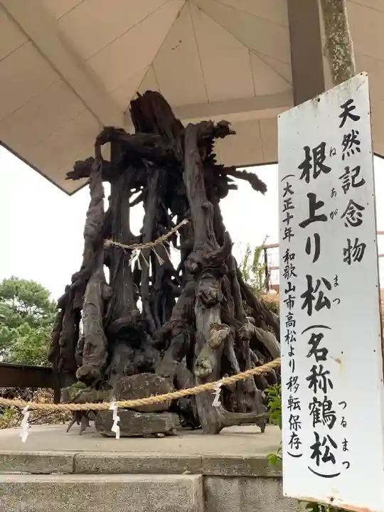 玉津島神社の自然