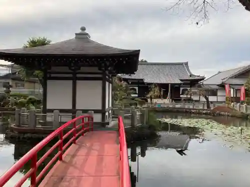 圓照寺の庭園