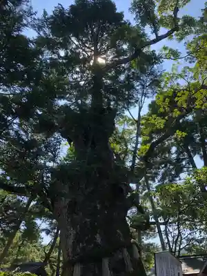 智恩寺(京都府)
