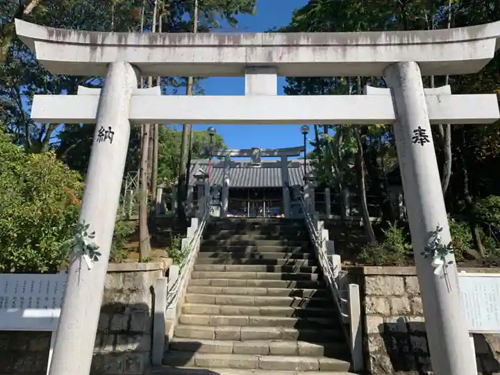 白山神社(小幡)の鳥居