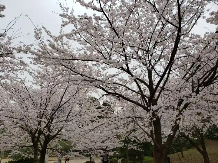 射水神社の自然