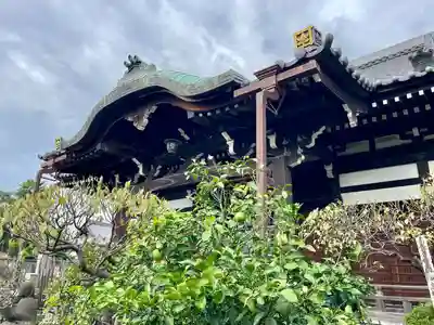感應寺(東京都)