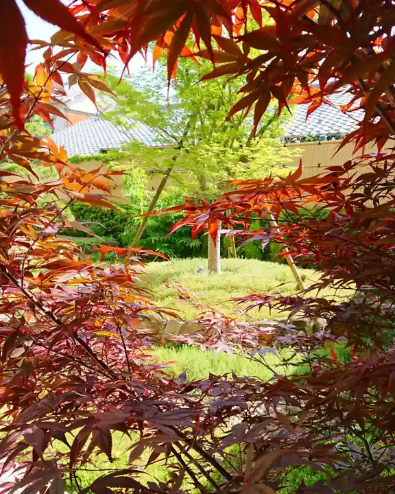 寿量山 速成寺の自然