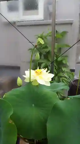 極楽山　浄土寺(北海道)