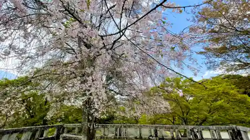 吉野神宮の自然