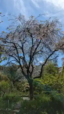 惠心院(京都府)
