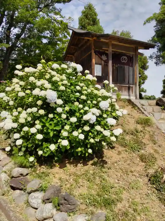 金乗院放光寺の末社・摂社