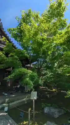 勝林寺(京都府)