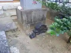 諏訪神社(東京都)