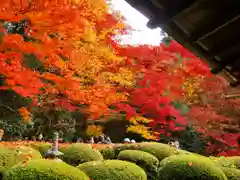 詩仙堂（丈山寺）(京都府)