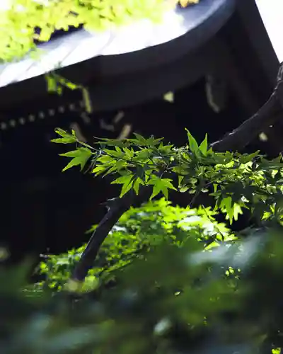 川中島古戦場八幡社(長野県)