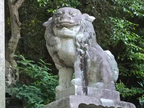 阿賀神社(滋賀県)