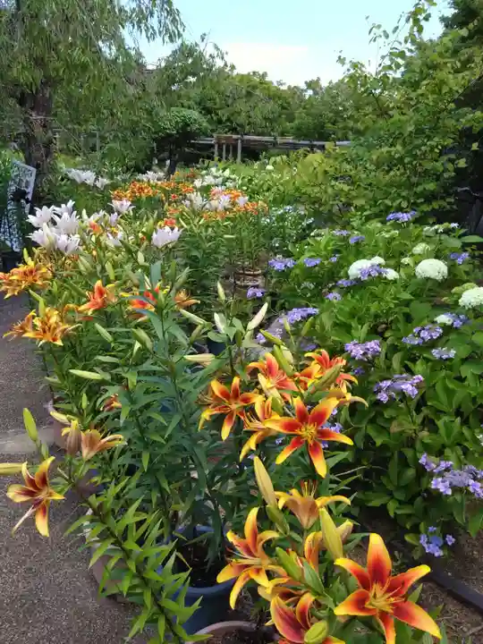 筥崎宮(福岡県)