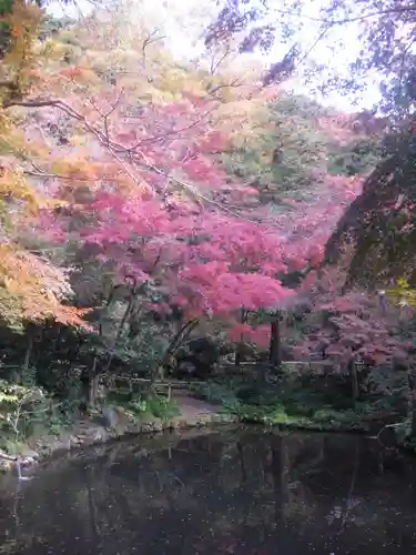 鶴岡八幡宮の庭園