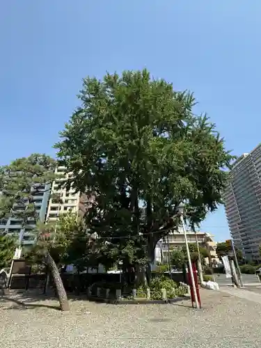 磐井神社(東京都)