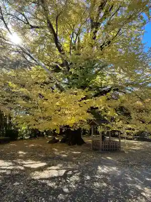 大山寺(徳島県)