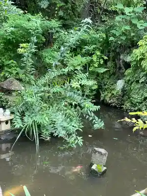 大綱金刀比羅神社(神奈川県)