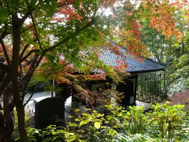 長谷寺(神奈川県)
